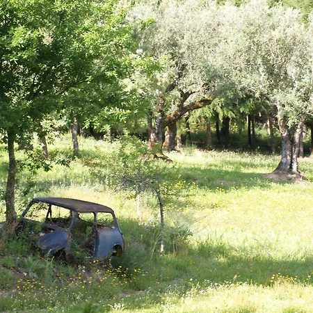 Appartement Casa Branca
