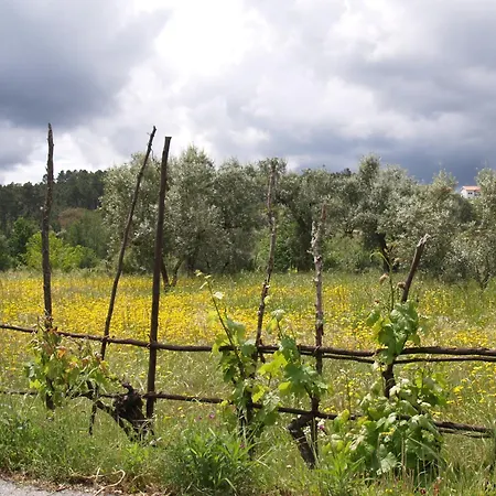 Casa Branca * Covas (Coimbra)